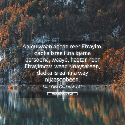 Picture 05 - Hoosheeca 5:3 SOM - Anigu waan aqaan reer Efrayim, dadka Israa'iilna - Bible Verse Picture