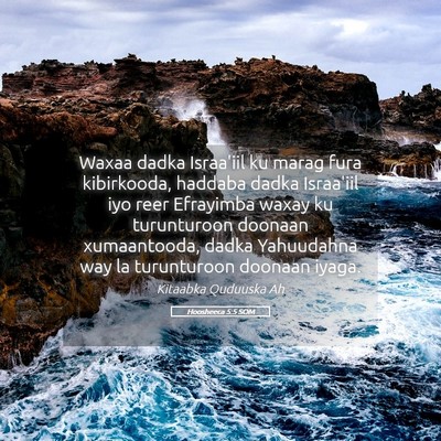 Picture 05 - Hoosheeca 5:5 SOM - Waxaa dadka Israa'iil ku marag fura kibirkooda, - Bible Verse Picture