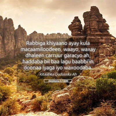 Picture 05 - Hoosheeca 5:7 SOM - Rabbiga khiyaano ayay kula macaamiloodeen, waayo, - Bible Verse Picture