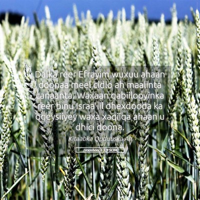 Picture 05 - Hoosheeca 5:9 SOM - Dalka reer Efrayim wuxuu ahaan doonaa meel cidlo - Bible Verse Picture