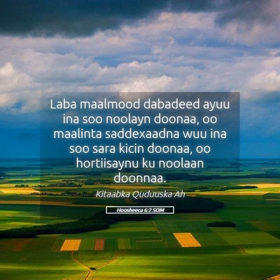 Picture 05 - Hoosheeca 6:2 SOM - Laba maalmood dabadeed ayuu ina soo noolayn - Bible Verse Picture