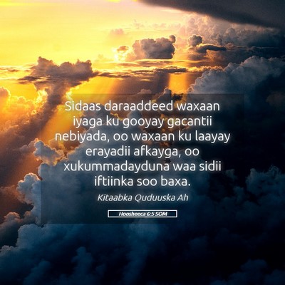 Picture 05 - Hoosheeca 6:5 SOM - Sidaas daraaddeed waxaan iyaga ku gooyay gacantii - Bible Verse Picture