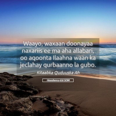 Picture 05 - Hoosheeca 6:6 SOM - Waayo, waxaan doonayaa naxariis ee ma aha - Bible Verse Picture