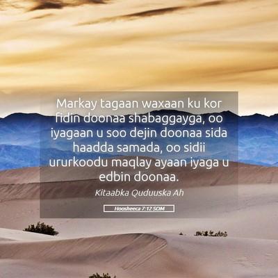 Picture 05 - Hoosheeca 7:12 SOM - Markay tagaan waxaan ku kor fidin doonaa - Bible Verse Picture