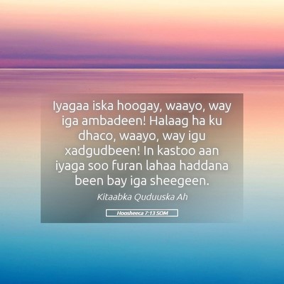 Picture 05 - Hoosheeca 7:13 SOM - Iyagaa iska hoogay, waayo, way iga ambadeen! - Bible Verse Picture