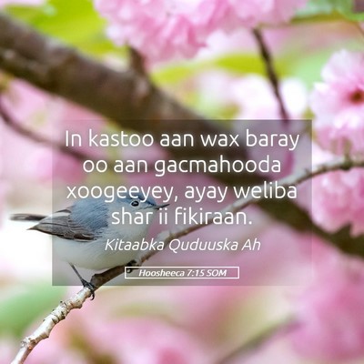 Picture 05 - Hoosheeca 7:15 SOM - In kastoo aan wax baray oo aan gacmahooda - Bible Verse Picture