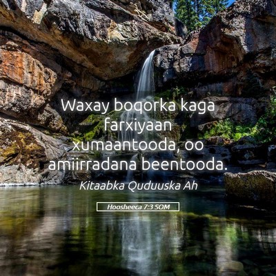 Picture 05 - Hoosheeca 7:3 SOM - Waxay boqorka kaga farxiyaan xumaantooda, oo - Bible Verse Picture