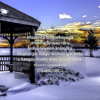 Picture 05 - Hoosheeca 7:5 SOM - Maalinta boqorkayaga amiirradu way isku - Bible Verse Picture