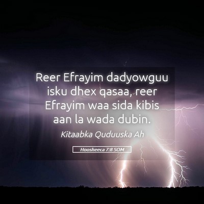 Picture 05 - Hoosheeca 7:8 SOM - Reer Efrayim dadyowguu isku dhex qasaa, reer - Bible Verse Picture