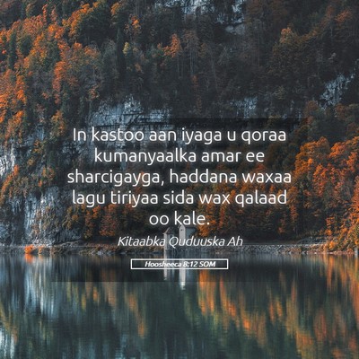 Picture 05 - Hoosheeca 8:12 SOM - In kastoo aan iyaga u qoraa kumanyaalka amar ee - Bible Verse Picture