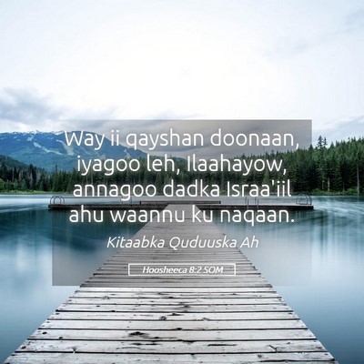 Picture 05 - Hoosheeca 8:2 SOM - Way ii qayshan doonaan, iyagoo leh, Ilaahayow, - Bible Verse Picture