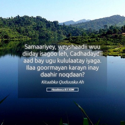 Picture 05 - Hoosheeca 8:5 SOM - Samaariyey, weyshaadii wuu diiday isagoo leh, - Bible Verse Picture