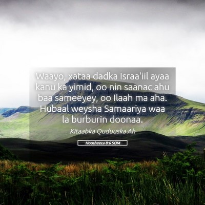 Picture 05 - Hoosheeca 8:6 SOM - Waayo, xataa dadka Israa'iil ayaa kanu ka yimid, - Bible Verse Picture