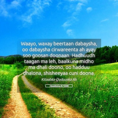 Picture 05 - Hoosheeca 8:7 SOM - Waayo, waxay beertaan dabaysha, oo dabaysha - Bible Verse Picture