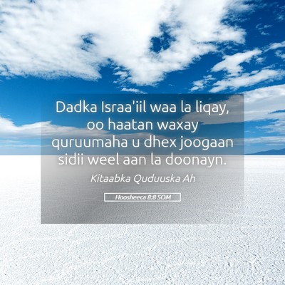 Picture 05 - Hoosheeca 8:8 SOM - Dadka Israa'iil waa la liqay, oo haatan waxay - Bible Verse Picture
