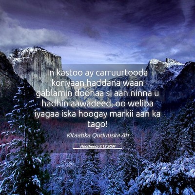Picture 05 - Hoosheeca 9:12 SOM - In kastoo ay carruurtooda koriyaan haddana waan - Bible Verse Picture
