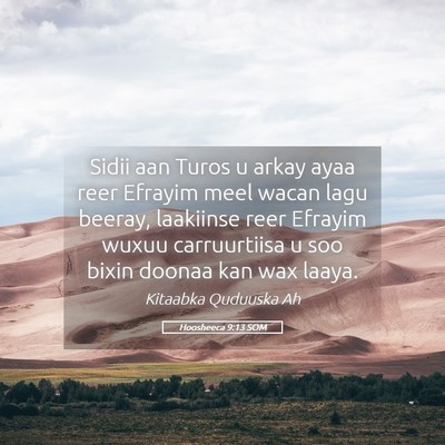 Picture 05 - Hoosheeca 9:13 SOM - Sidii aan Turos u arkay ayaa reer Efrayim meel - Bible Verse Picture
