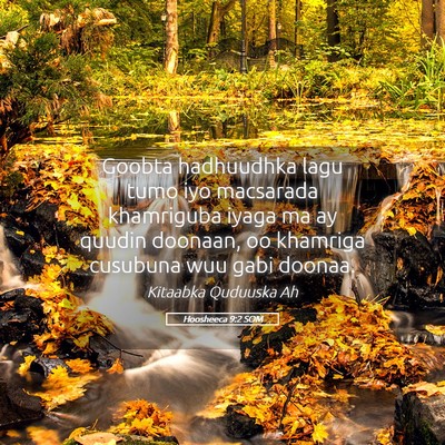 Picture 05 - Hoosheeca 9:2 SOM - Goobta hadhuudhka lagu tumo iyo macsarada - Bible Verse Picture