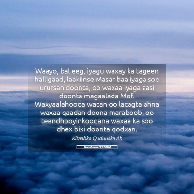 Picture 05 - Hoosheeca 9:6 SOM - Waayo, bal eeg, iyagu waxay ka tageen halligaad, - Bible Verse Picture