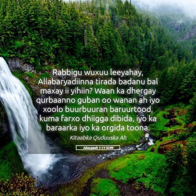 Picture 05 - Ishacyaah 1:11 SOM - Rabbigu wuxuu leeyahay, Allabaryadiinna tirada - Bible Verse Picture