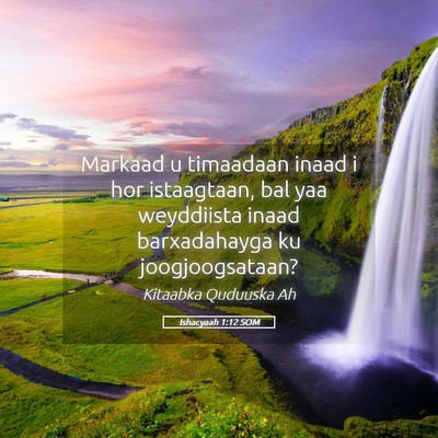 Picture 05 - Ishacyaah 1:12 SOM - Markaad u timaadaan inaad i hor istaagtaan, bal - Bible Verse Picture