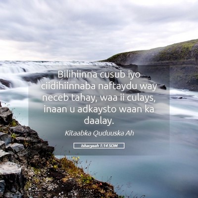 Picture 05 - Ishacyaah 1:14 SOM - Bilihiinna cusub iyo ciidihiinnaba naftaydu way - Bible Verse Picture