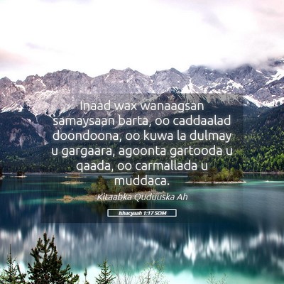 Picture 05 - Ishacyaah 1:17 SOM - Inaad wax wanaagsan samaysaan barta, oo caddaalad - Bible Verse Picture