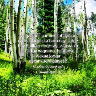 Picture 05 - Ishacyaah 1:21 SOM - Magaaladii aaminka ahayd oo caddaaladdu ka - Bible Verse Picture