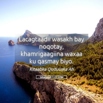 Picture 05 - Ishacyaah 1:22 SOM - Lacagtaadii wasakh bay noqotay, khamrigaagiina - Bible Verse Picture