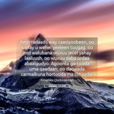 Picture 05 - Ishacyaah 1:23 SOM - Amiirradaadii way caasiyoobeen, oo waxay u wehel - Bible Verse Picture