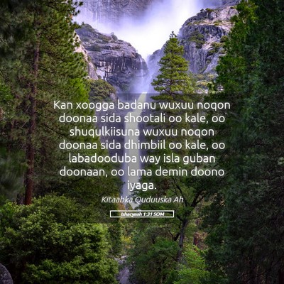 Picture 05 - Ishacyaah 1:31 SOM - Kan xoogga badanu wuxuu noqon doonaa sida - Bible Verse Picture