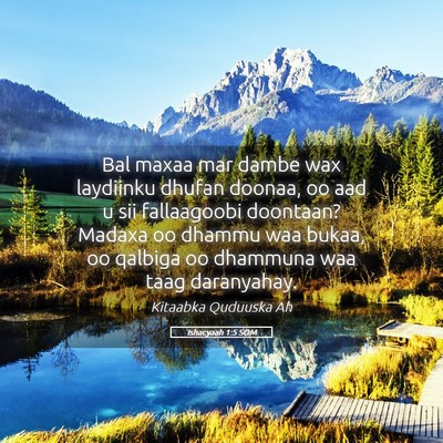 Picture 05 - Ishacyaah 1:5 SOM - Bal maxaa mar dambe wax laydiinku dhufan doonaa, - Bible Verse Picture