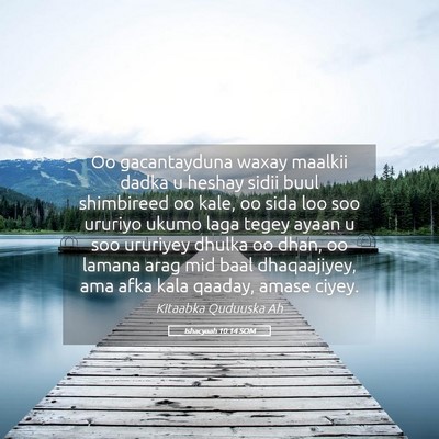 Picture 05 - Ishacyaah 10:14 SOM - Oo gacantayduna waxay maalkii dadka u heshay - Bible Verse Picture