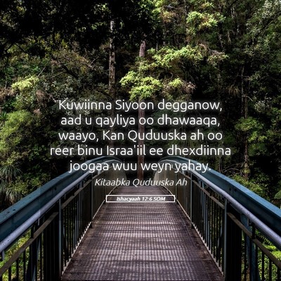 Picture 05 - Ishacyaah 12:6 SOM - Kuwiinna Siyoon degganow, aad u qayliya oo - Bible Verse Picture