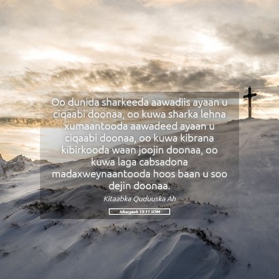Picture 05 - Ishacyaah 13:11 SOM - Oo dunida sharkeeda aawadiis ayaan u ciqaabi - Bible Verse Picture