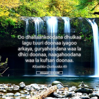 Picture 05 - Ishacyaah 13:16 SOM - Oo dhallaankoodana dhulkaa lagu tuuri doonaa - Bible Verse Picture
