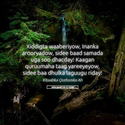 Picture 05 - Ishacyaah 14:12 SOM - Xiddigta waaberiyow, Inanka arooryadow, sidee - Bible Verse Picture