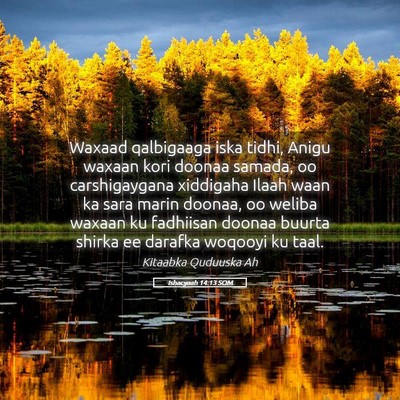 Picture 05 - Ishacyaah 14:13 SOM - Waxaad qalbigaaga iska tidhi, Anigu waxaan kori - Bible Verse Picture