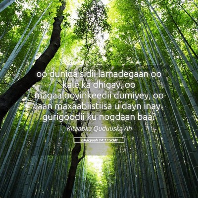 Picture 05 - Ishacyaah 14:17 SOM - oo dunida sidii lamadegaan oo kale ka dhigay, oo - Bible Verse Picture