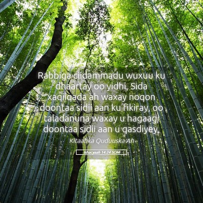 Picture 05 - Ishacyaah 14:24 SOM - Rabbiga ciidammadu wuxuu ku dhaartay oo yidhi, - Bible Verse Picture