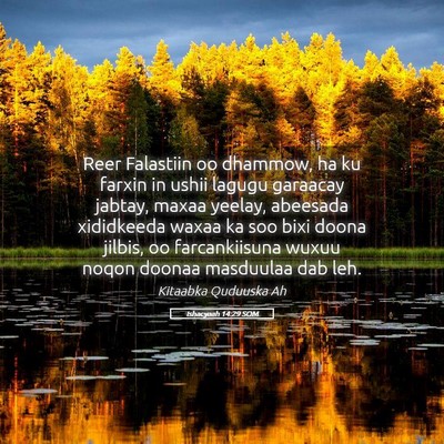 Picture 05 - Ishacyaah 14:29 SOM - Reer Falastiin oo dhammow, ha ku farxin in ushii - Bible Verse Picture