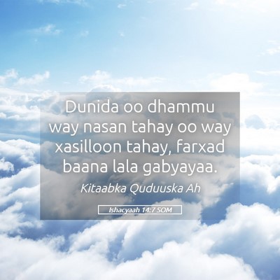 Picture 05 - Ishacyaah 14:7 SOM - Dunida oo dhammu way nasan tahay oo way xasilloon - Bible Verse Picture