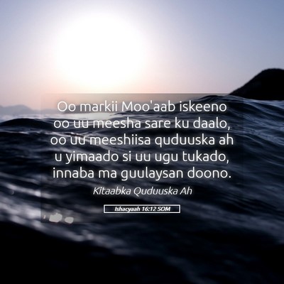 Picture 05 - Ishacyaah 16:12 SOM - Oo markii Moo'aab iskeeno oo uu meesha sare ku - Bible Verse Picture