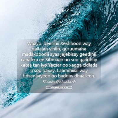 Picture 05 - Ishacyaah 16:8 SOM - Waayo, beerihii Xeshboon way qallalan yihiin, - Bible Verse Picture
