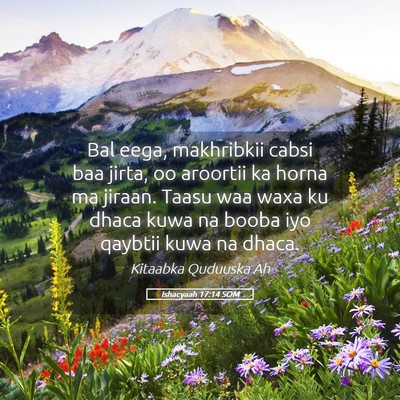 Picture 05 - Ishacyaah 17:14 SOM - Bal eega, makhribkii cabsi baa jirta, oo aroortii - Bible Verse Picture