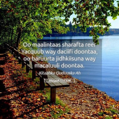 Picture 05 - Ishacyaah 17:4 SOM - Oo maalintaas sharafta reer Yacquub way daciifi - Bible Verse Picture