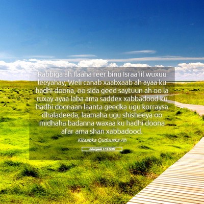 Picture 05 - Ishacyaah 17:6 SOM - Rabbiga ah Ilaaha reer binu Israa'iil wuxuu - Bible Verse Picture