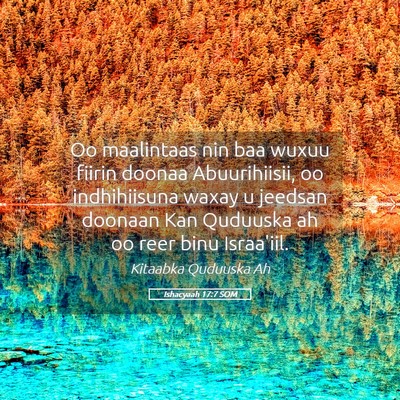 Picture 05 - Ishacyaah 17:7 SOM - Oo maalintaas nin baa wuxuu fiirin doonaa - Bible Verse Picture