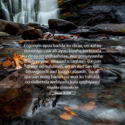 Picture 05 - Ishacyaah 18:2 SOM - Ergooyin ayuu badda ku diraa, oo xataa doonniyo - Bible Verse Picture