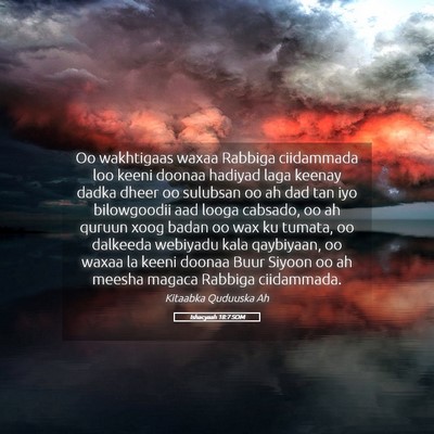 Picture 05 - Ishacyaah 18:7 SOM - Oo wakhtigaas waxaa Rabbiga ciidammada loo keeni - Bible Verse Picture